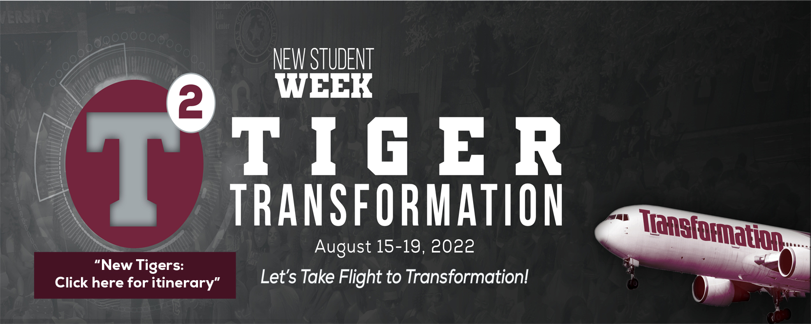 tiger-transformation-t2-sliders-2022